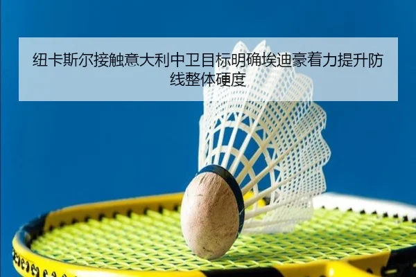 纽卡斯尔接触意大利中卫目标明确埃迪豪着力提升防线整体硬度 - kaiyun